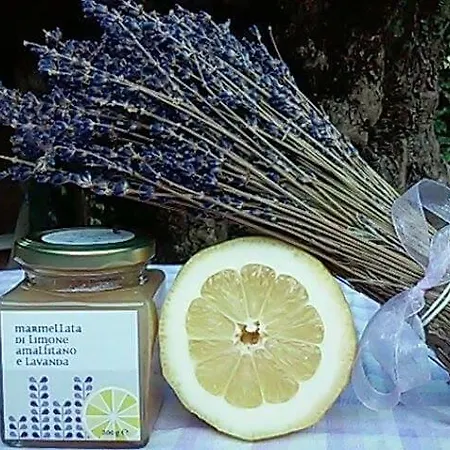 Lavanda E Merletti Maison De Charme