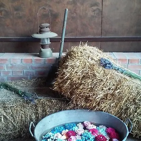 Casa de Campo Lavanda E Merletti Maison De Charme Montoro Inferiore