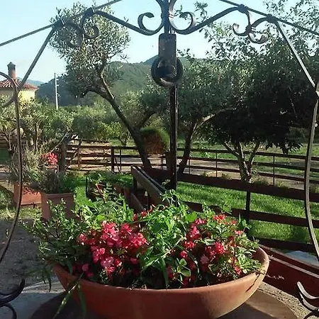 Lavanda E Merletti Maison De Charme Casa de Campo Montoro Inferiore